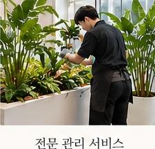 실내식물을 관리하는 작업자 예시