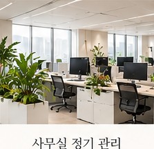 사무실 실내식물 배치 예시
